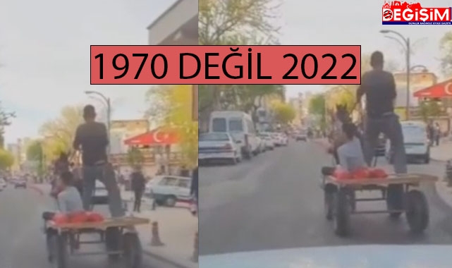 Şanlıurfa'da 1970'i andıran görüntüler