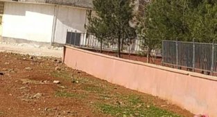 Şanlıurfa'da hırsızlar okullara dadandı!