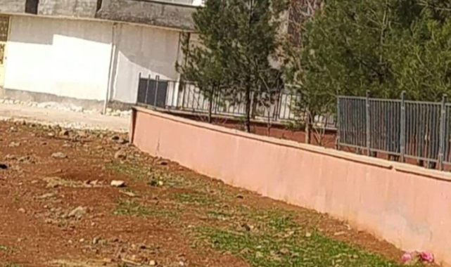 Şanlıurfa'da hırsızlar okullara dadandı!
