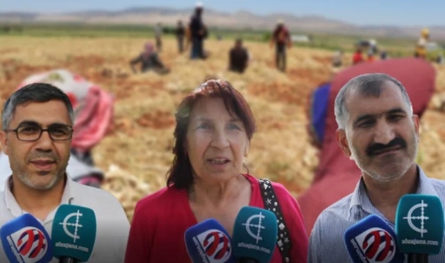 Tarım kenti tarım işçisi oluyor