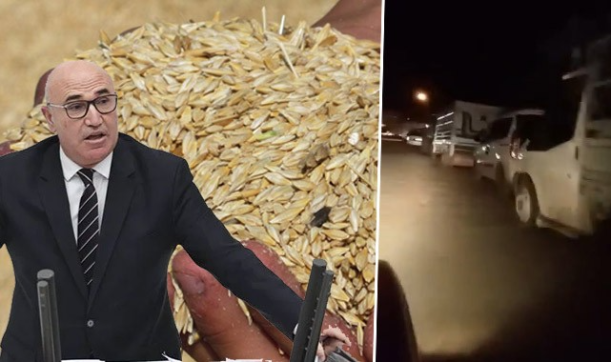 Tarımın başkentinde arpa kuyruğu