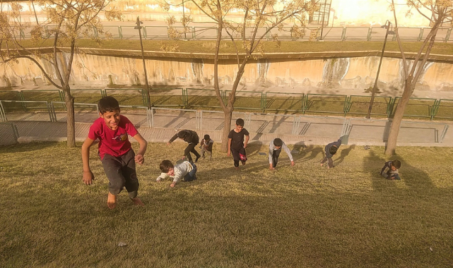 Tehlikeye aldırış etmeyen çocuklar çimenlerden kaydı