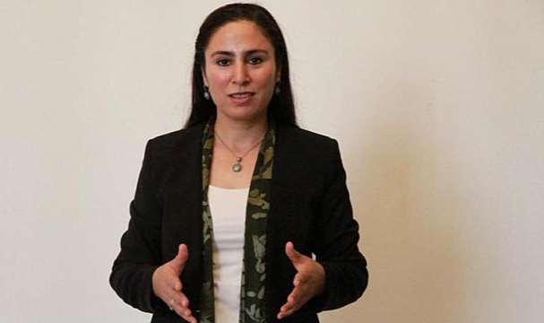 "Urfa çiftçisi susuzluk yaşıyor"