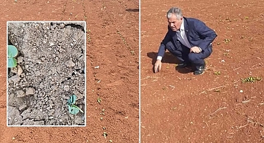 Almas: Suyu kesip rekolteyi düşürüyorsunuz