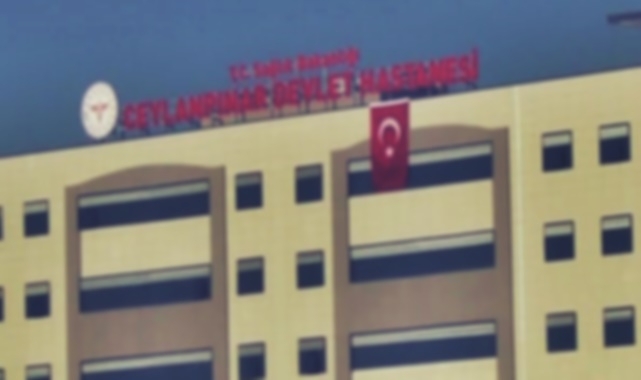 Ceylanpına'da iki otomobil çarpıştı; 4 yaralı
