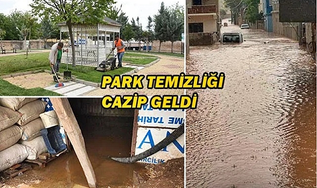 Hilvan Belediyesi hizmet yerine otları temizliyor!