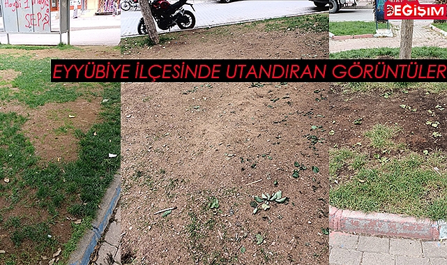 Şanlıurf'da istenmeyen görüntüler!