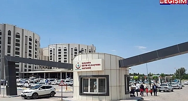 Şanlıurfa'da abi kardeşi vurdu!
