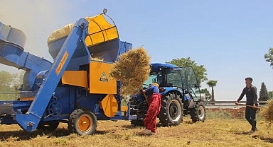 Şanlıurfa'da mercimek hasadı başladı!