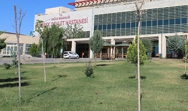 Şanlıurfa'da taşlı silahlı kavga! 2 yaralı