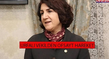 Şanlıurfalı vekilden şok sözler
