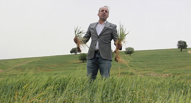 Türkiye'deki kuraklık riskine dikkat çekildi