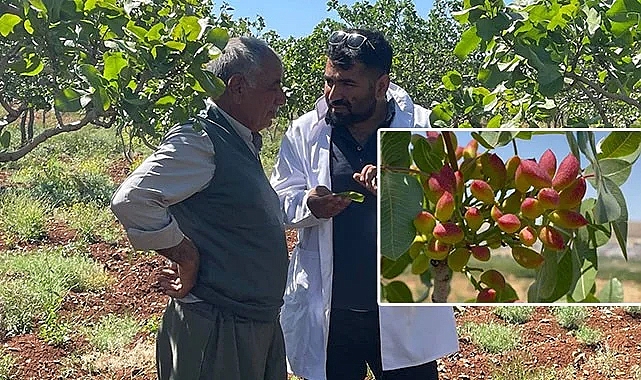 Uzmanlar tarım sigortasının önemine değindi