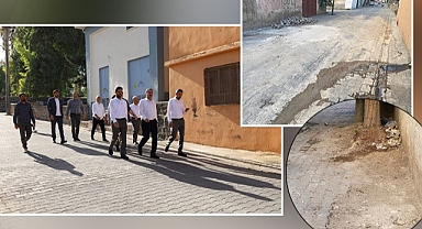 Baydilli sahada sadece dolaşıyor mu?