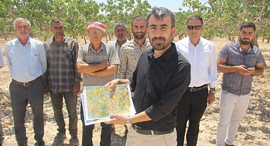 Fıstık üreticileri baklavacıları yalanladı