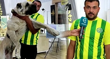 Guregh köpeğine İstanbul'da yoğun ilgi!