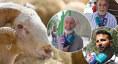 Kurban fiyatları cep yakıyor!