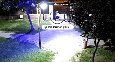 Kürt yazarın büstü kaldırıldı iddiaları asılsız çıktı