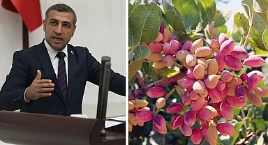 Mecliste söz alarak Fıstık için destek istedi!