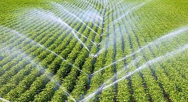 Olan yine çiftçiye oluyor!