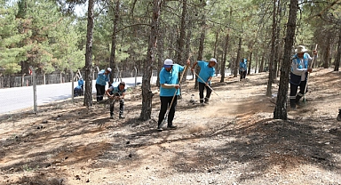 Orman yangınlarına karşı hummalı çalışmalar yapılıyor
