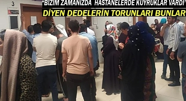 Şanlıurfa'da hastaların durumu içler açısı!