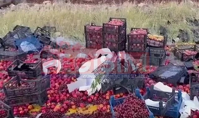 Şanlıurfa'da meyve yüklü kamyon devrildi