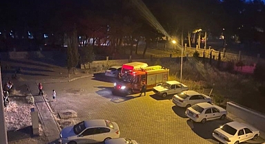 Site Bahçesinde Yılan Paniği