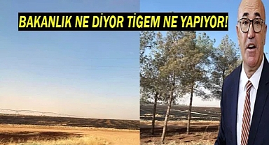 TİGEM Ceylanpınar işletmesi ne yapıyor!