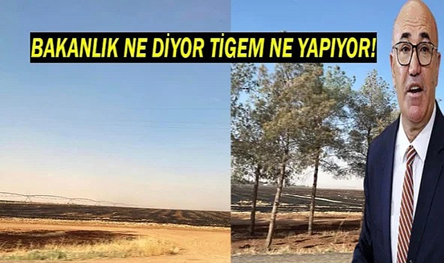TİGEM Ceylanpınar işletmesi ne yapıyor!