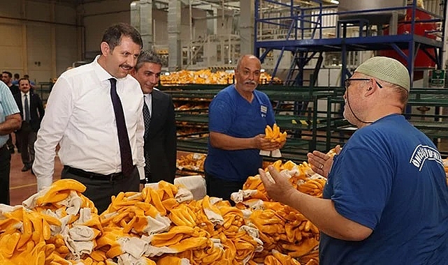 Vali Ayhan, fabrikaları gezdi