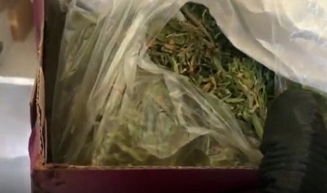 18 kilo 500 gram esrar ele geçirildi! 1 tutuklama