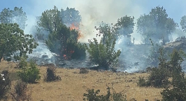 Anız yangınından etkilenen çiftçi hastaneye kaldırıldı