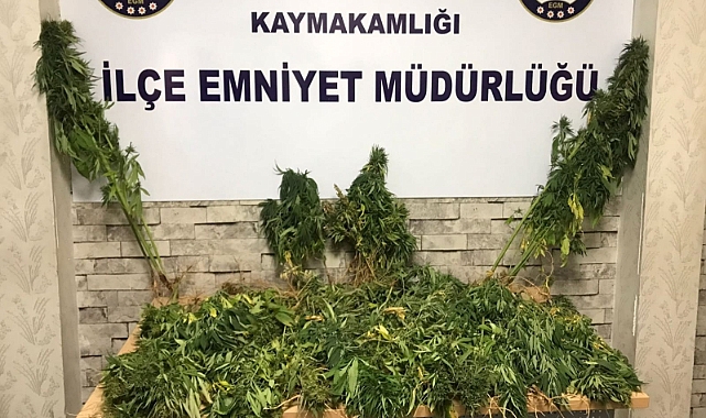 Antep’te hint kenevir ele geçirildi