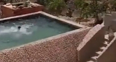 Boğulma taklidi yapan şahsı köpek kurtardı