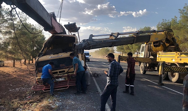 Ceylanpınar'da vinç şarampole devrildi! 1 yaralı
