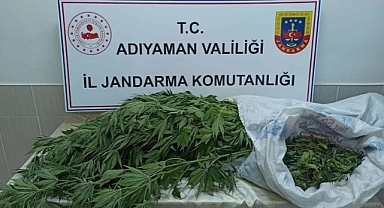 Kenevir ve kubar esrar ele geçirildi!