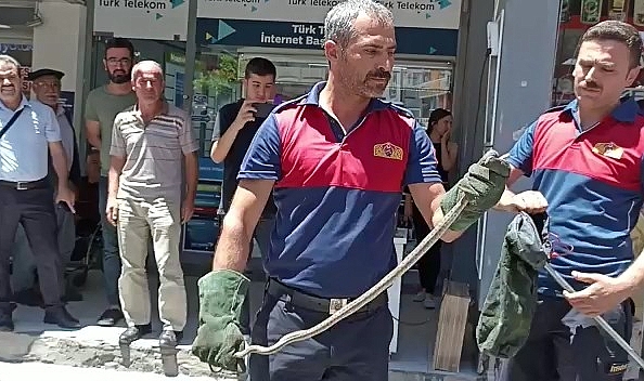 Motosikletten Yılan Çıktı