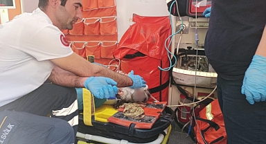 Otomobil sürücüsü kadına çarpıp kaçtı