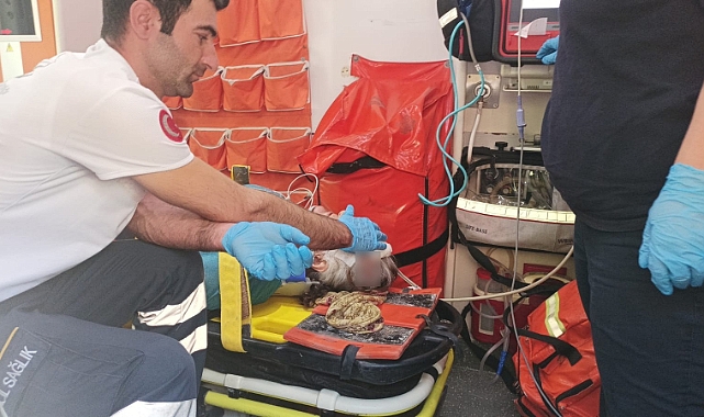 Otomobil sürücüsü kadına çarpıp kaçtı
