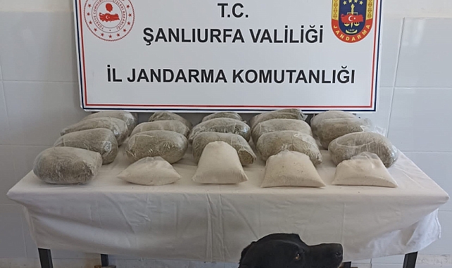 Şanlıurfa'da büyük operasyon