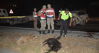 Siverek'te otomobil koyun sürüsüne böyle daldı!