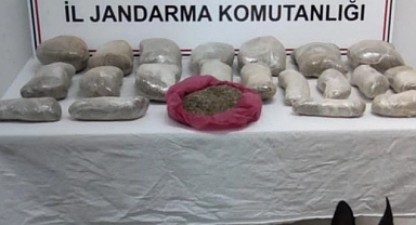 Suruç'ta 2 milyon lira değerinde bonzai ele geçirildi!