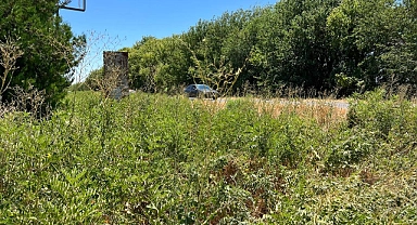 Suruç'ta otomobil şarampole devrildi! 1 ağır yaralı