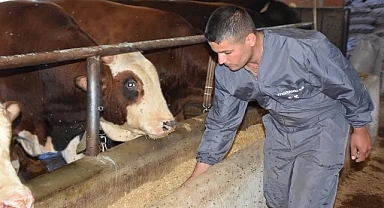 Urfalı girişimci Devlet teşviki ile işini 10 kat büyüttü