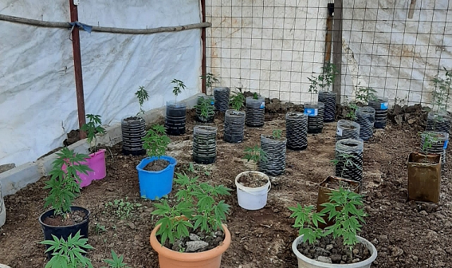 Uyuşturucu operasyonu! 10 'torbacı' yakalandı
