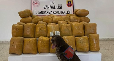 250 kilo toz esrar hap ele geçirildi