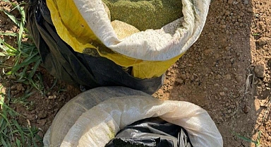 28 milyon 553 bin 274 kök uyuşturucu madde ele geçirildi