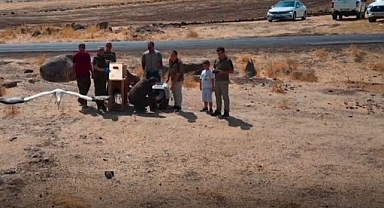 3 yavru leyleğe sahip çıktılar