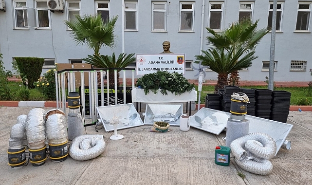 Adana'da kaçak kenevir yetiştiren eve baskın düzenlendi